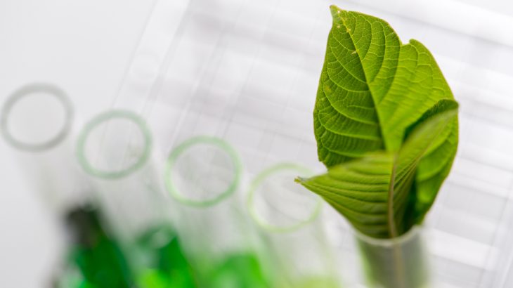 Scientists seeking to make use of lignin, the plant byproduct of biofuel production, have had a breakthrough.