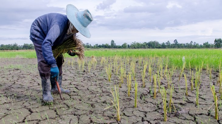 If global warming is not limited to 1.5 degrees Celsius, the increasing drought intensity will cause economic losses to double.