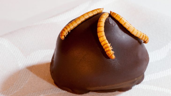 Insects could be a viable alternative protein source, but how do you get countries that don’t typically eat insects to warm up to the idea?