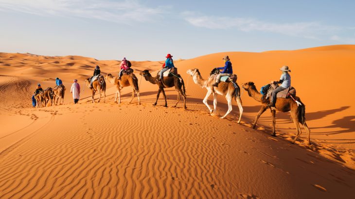 As recently as 6,000 years ago, the Sahara Desert was not a desert at all, but was more of a tropical region with grass and lots of rain.