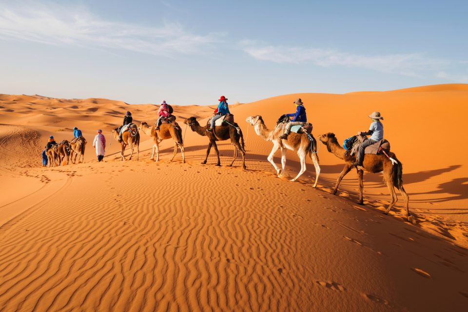 As recently as 6,000 years ago, the Sahara Desert was not a desert at all, but was more of a tropical region with grass and lots of rain.