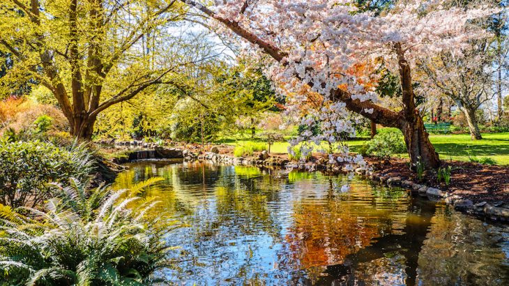 Earlier springs may give plants a head start initially, but a new study has found it doesn’t benefit plant productivity in the long run.