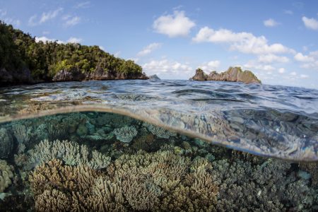 Why solutions for climate change need to focus on oceans • Earth