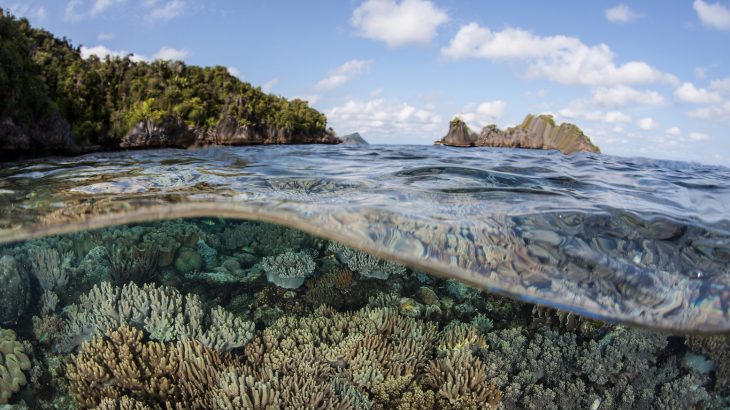 Researchers have provided a review of thirteen ocean-based measures that could potentially reduce the effects of climate change.