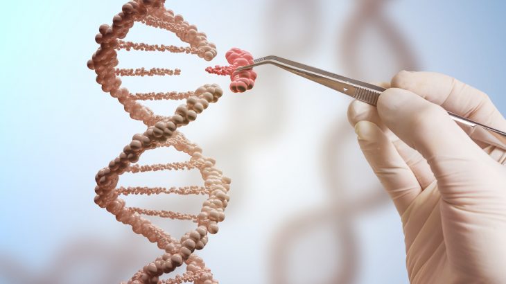 A research team led by the University of Pennsylvania has used gene editing to prevent a fatal disorder in laboratory animals.