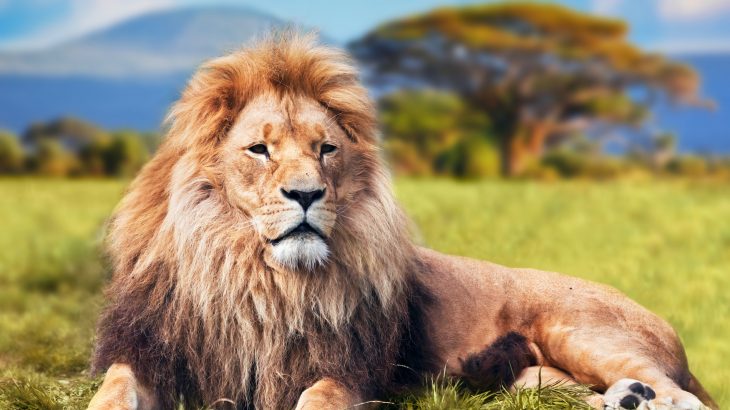 The technology may ultimately enable the mapping of specific genes to specific traits in species throughout the plant and animal kingdoms.