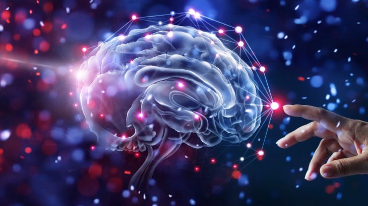 A groundbreaking new study has found that a hormone in plants may reverse the brain damage caused by a high-fat diet.