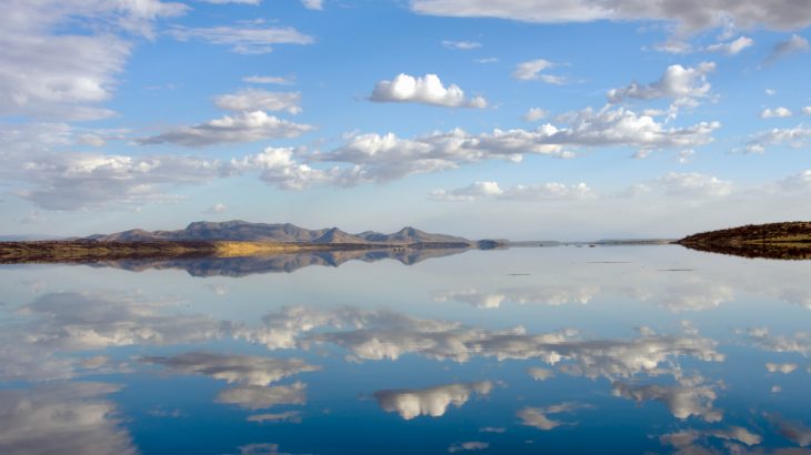 Researchers have found that the transition from hominins to modern humans may have been instigated by an unpredictable climate.