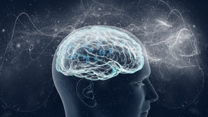 Understanding Brain Mechanisms Of >> Memories Create The Same Brain Patterns While We Re Asleep Or Awake Understanding Brain Mechanisms Of >> Memories Create The Same Brain Patterns While We Re Asleep Or Awake