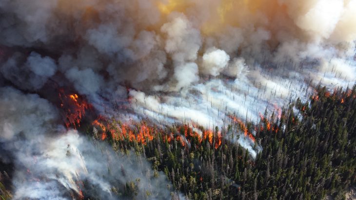 A new report on climate change communication methods reveals it may be effective to tell stories about how scientific knowledge is produced.