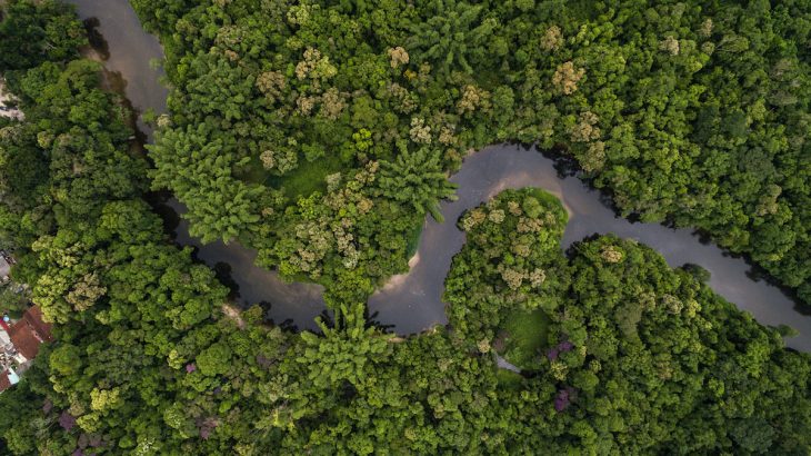 The Amazon rainforest has a dark history of exploitation and violence, especially when it comes to its indigenous population.