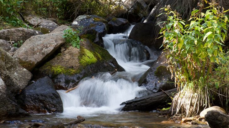 A new study has revealed that the 1972 Clean Water Act has been successful in significantly improving water quality in the United States.