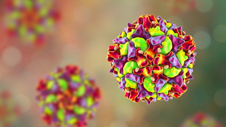 A study from the University of Michigan suggests that robust environmental monitoring be relied upon as we get closer to eradicating polio.