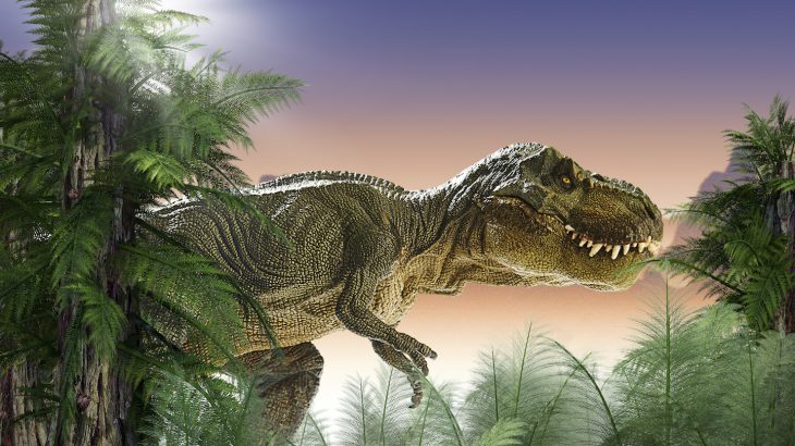 A new study has revealed that Tyrannosaurus rex and other theropods had uniquely-shaped feet that could be used to launch sneak attacks.