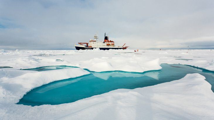 For the permanently ice-covered Arctic ocean there exists little data on species diversity, biomass, and composition at different depths.