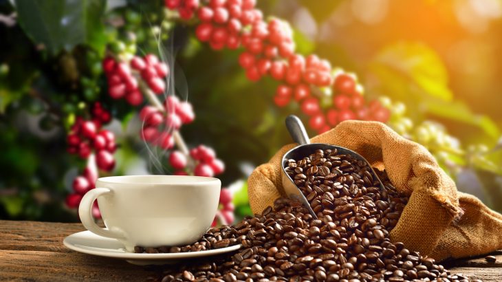 Coffee growers in Latin America are facing one of the most severe threats to crops in the last 60 years after a rust fungus outbreak.