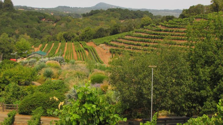 Making farmland more diverse is not only better for the environment and biodiversity, but it also helps boost working land productivity.