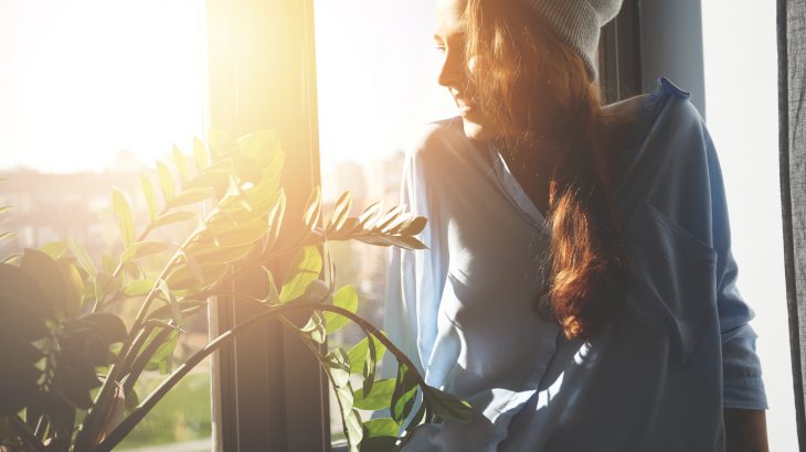 A new study from the University of Oregon has demonstrated the remarkable effect of sunlight as a disinfectant in the home.