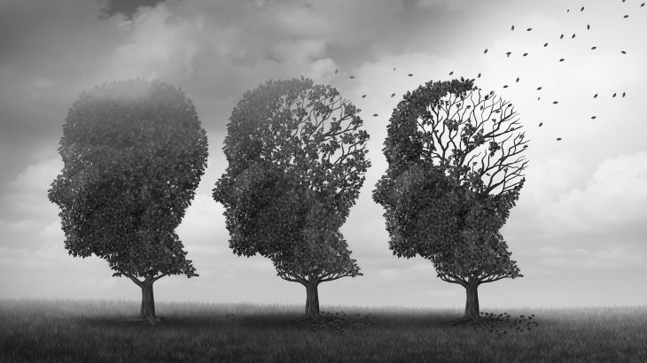 A team of researchers has demonstrated that a naturally occurring hormone reverses memory loss in the brain that is associated with aging.