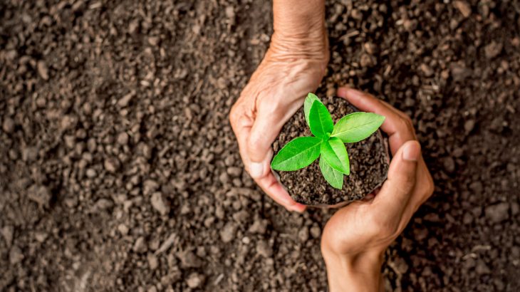 Soil microbe distribution is impacted by climate and today’s soil microbe levels were driven by climate change 50 years ago.