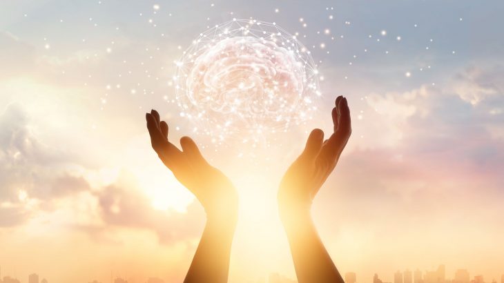 Working memory is critical in guiding us through everyday actions such as taking directions or weighing the costs and benefits of a decision.
