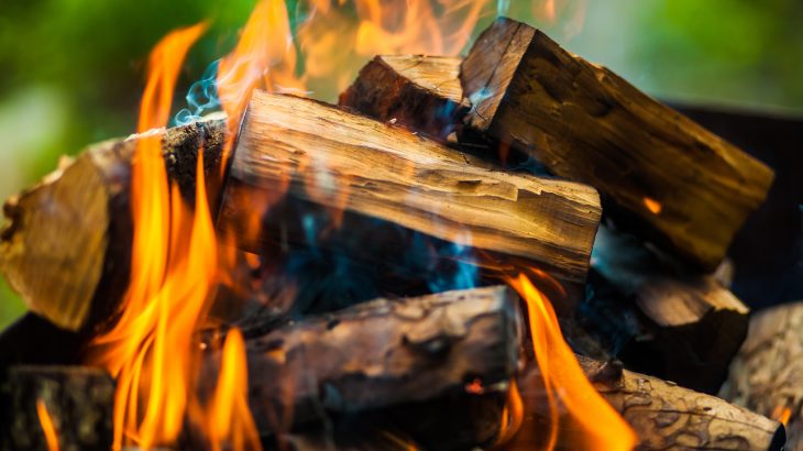 According to new study, the effects of wood smoke on the respiratory immune systems of men and women can differ.