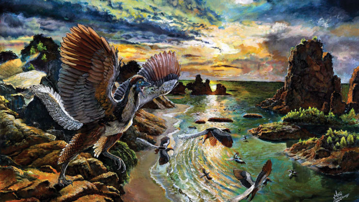These creatures, which had teeth and clawed fingers, served as an evolutionary transition point between dinosaurs and birds.