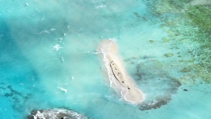 An island located 550 miles off the coast of Honolulu has all but disappeared after a devastating hurricane.