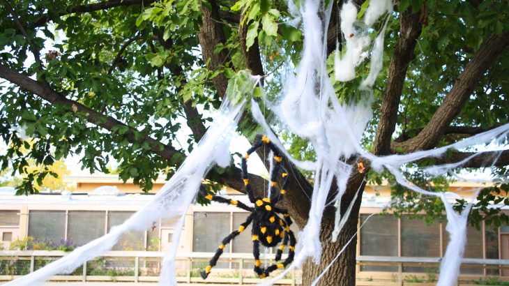While fake cobwebs are meant to be a fun part of Halloween, they pose a risk to wild animals who can become entangled in the fabric.