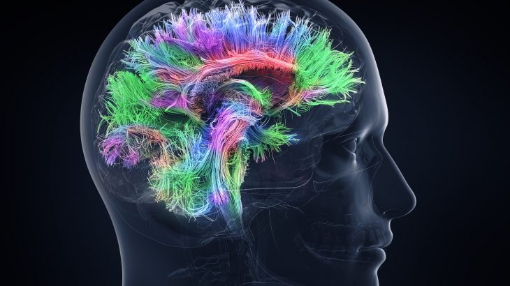 How does our brain know when to remember and retain other information that is important, but not something we’re actively trying to learn?