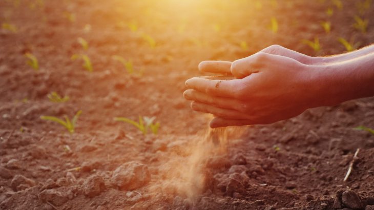 A new study shows that some soil bacteria are primed to eat nitrous oxide even in soil where oxygen levels are plentiful.