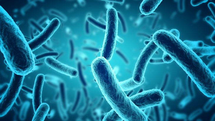 A new study has found that we hosts starve our microbial benefactors of nutrients, basically enslaving the microbes within our gut.