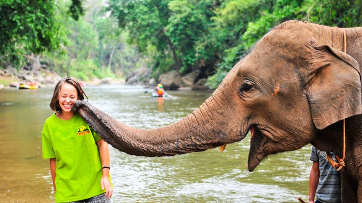 A new poll shows a meaningful shift in the way travelers view inhumane animal activities such as elephant rides and animal selfies.