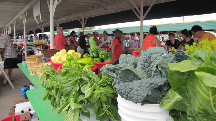 Many farmers market vendors are not taking adequate precautions to prevent the spread of food-borne illness.