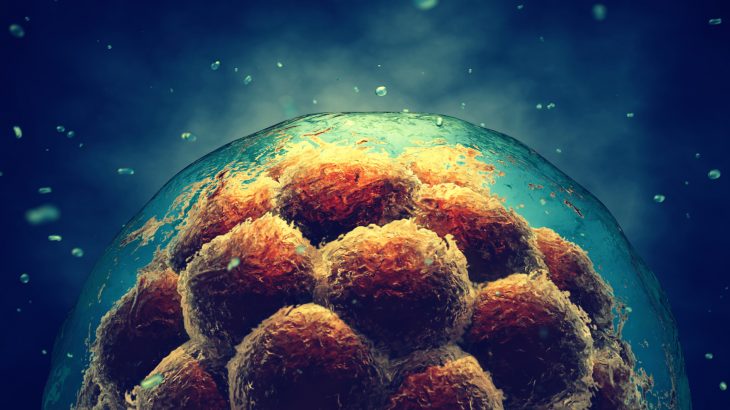 A new paper is exploring how much stem cell science has grown in the time since it was first introduced 20 years ago.