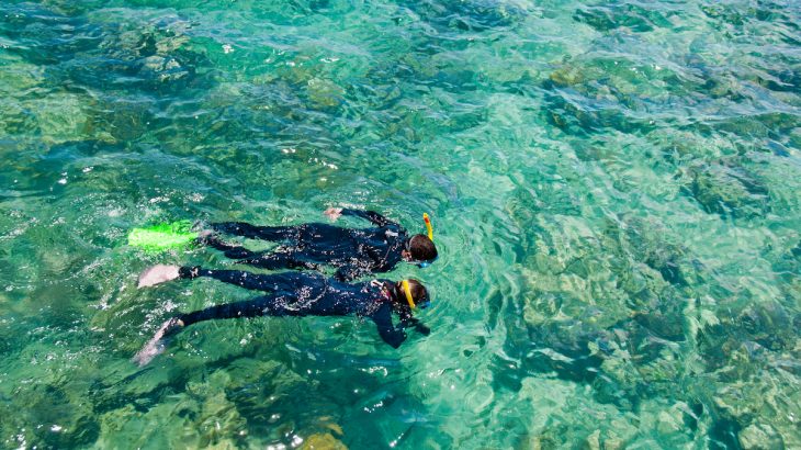 Last-chance tourism takes visitors to endangered and diminishing destinations to experience them firsthand before they might be gone forever.