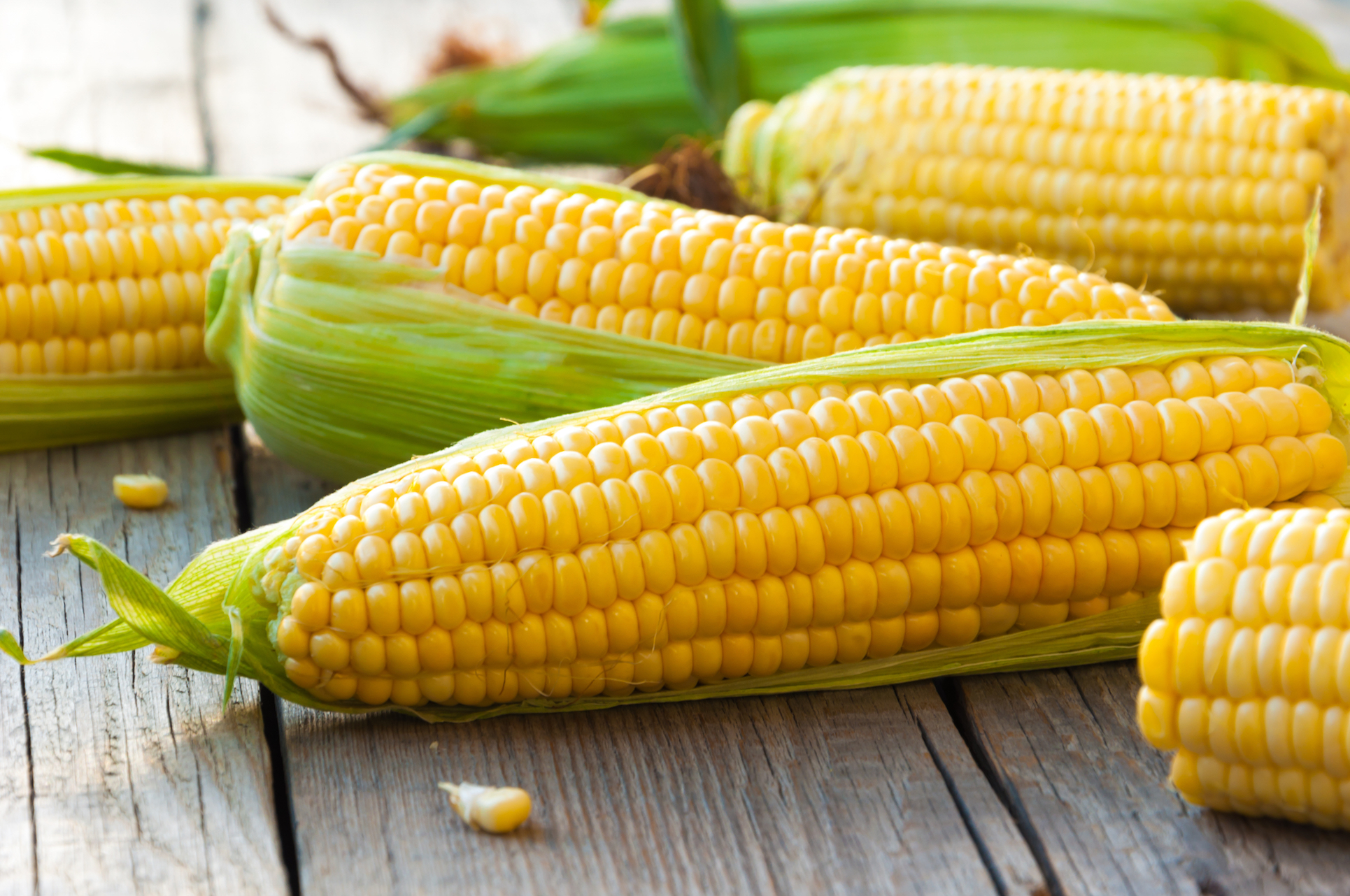 Is the midwest’s booming corn production sustainable?