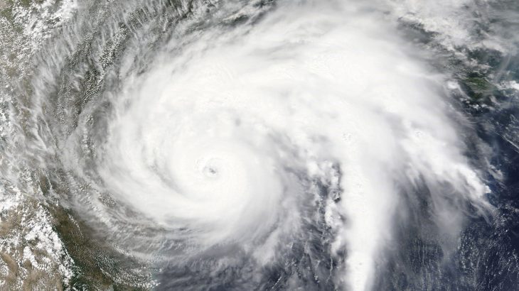 Huge hurricanes that have hit the Gulf Coast in recent years as a result of climate change have not altered life within the waters.