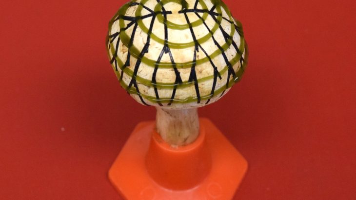 In order to create environmentally friendly energy, researchers have engineered bionic mushrooms that are capable of producing electricity.