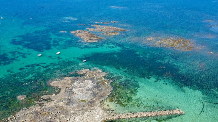 Rapid warming across two ecosystems, the Eastern English Channel and Southern North Sea, has caused small fish to abruptly move northward.