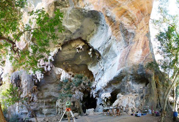 An international team of researchers came across a gold mine of genome data from Central and South America.