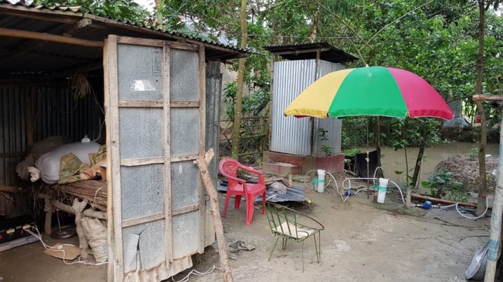 Arsenic, which is commonly found in well water worldwide, is responsible for one out of every 20 deaths in Bangladesh.