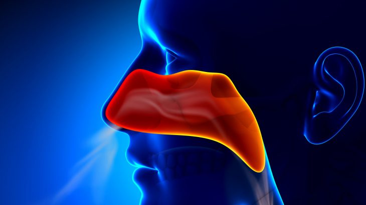 Researchers are explaining how we can inhale bacteria in nearly every breath that we take without getting sick.