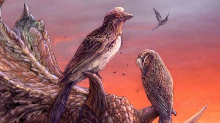 The most complete skeleton ever found from a long-extinct group of birds called Enantiornithines has been recovered in Utah.