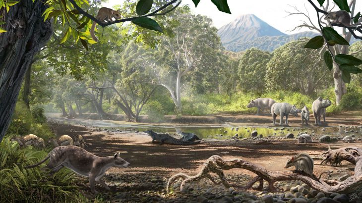 A study led by the University of Kansas is describing how a unique island ecosystem evolved 43 million years ago during the Eocene Epoch.