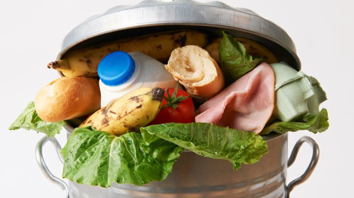 According to the United States Department of Agriculture (USDA), unused food makes up 30 to 40 percent of the food supply in the US.