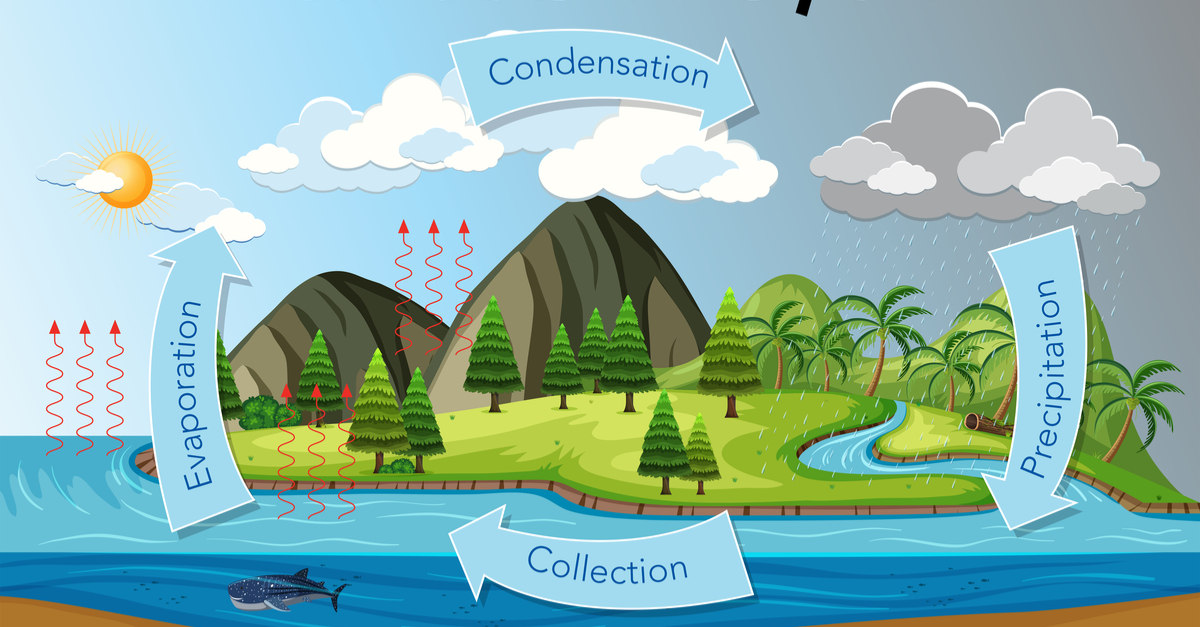 What Is The Water Cycle Earth