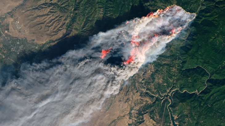 Despite Trump's callus criticisms, almost 60% of California’s forests are under the oversight of the federal government.