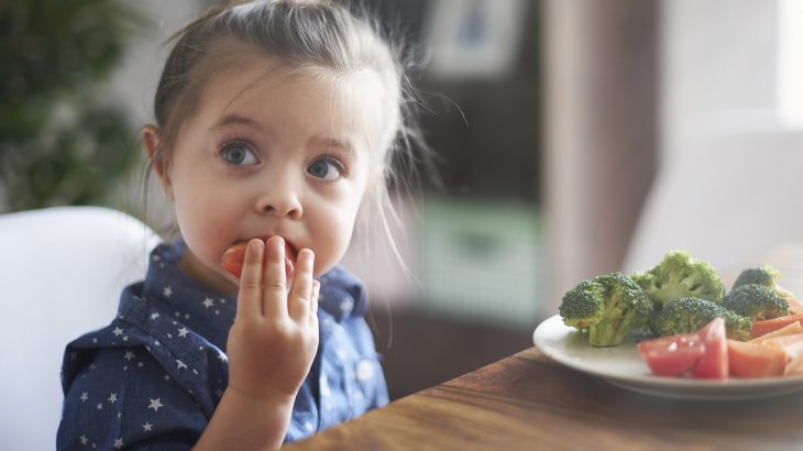 A new study has revealed that good nutrition in early life may prevent stress-induced changes in children's brains.