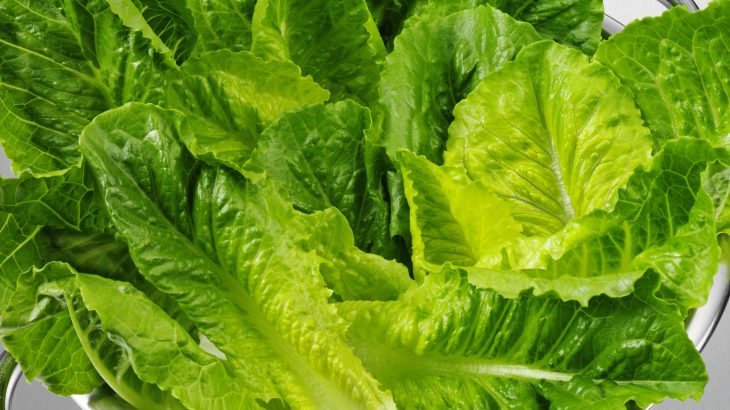 According to a food safety alert issued by the CDC, romaine lettuce may be contaminated by a particularly dangerous form of E. Coli.